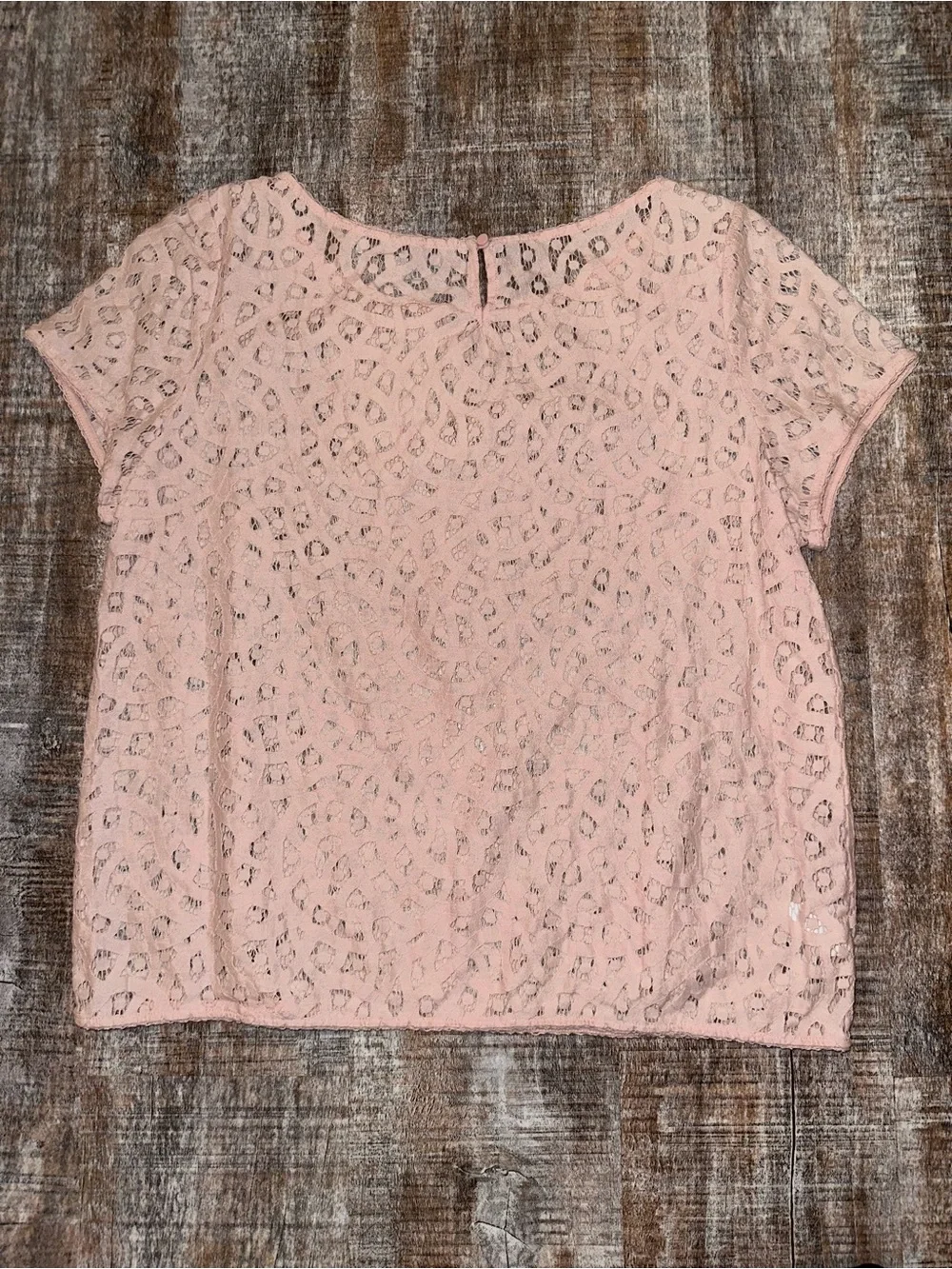 LOFT Blush Lace Short Sleeve Blouse - Picture 2 of 4